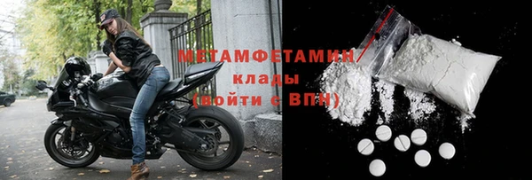 прущие грибы Белокуриха