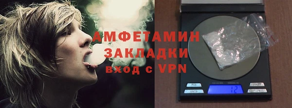 прущие грибы Белокуриха