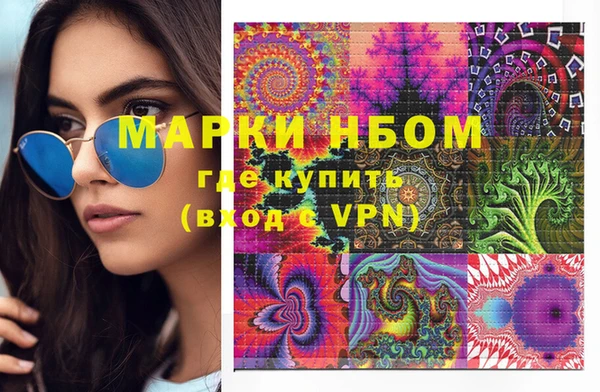прущие грибы Белокуриха