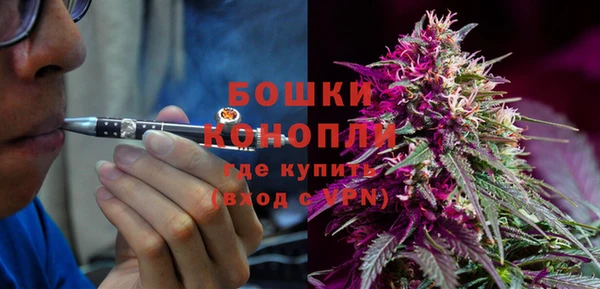 прущие грибы Белокуриха