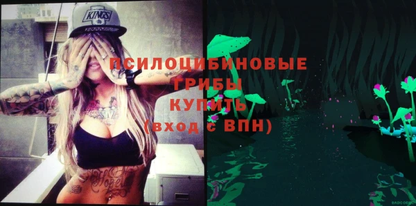прущие грибы Белокуриха