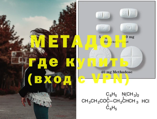 прущие грибы Белокуриха