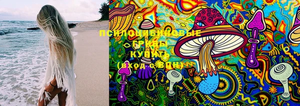 прущие грибы Белокуриха
