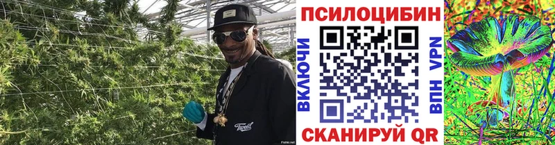 Галлюциногенные грибы MAGIC MUSHROOMS  что такое   сайты даркнета наркотические препараты  Севск 